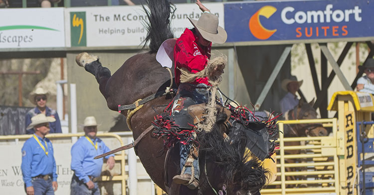 Kade Bruno lleva una camisa roja y un sombrero de vaquero y monta un caballo salvaje marrón en un rodeo.